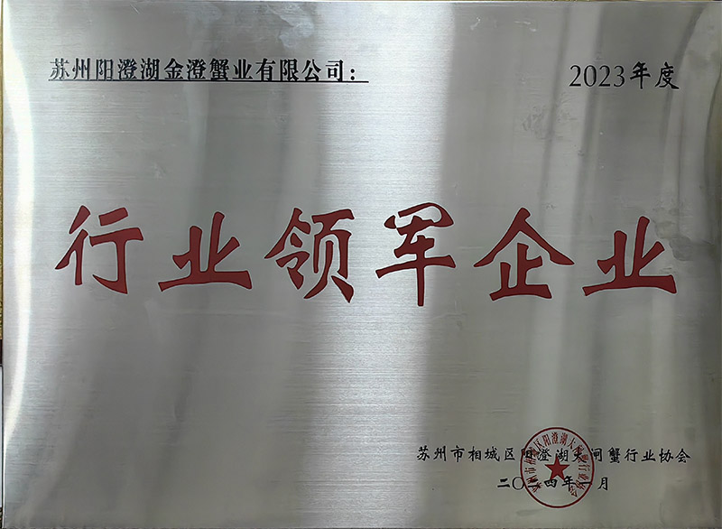 行業(yè)領(lǐng)軍企業(yè)